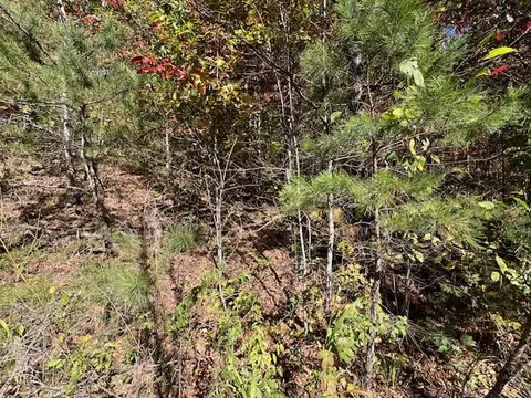 tbd Upper Peachtree Rd, Murphy, NC 28906 photo 10