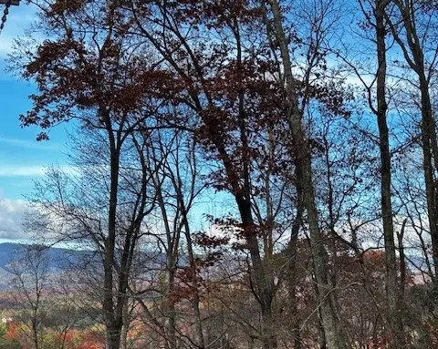 tbd Upper Peachtree Rd, Murphy, NC 28906 photo 4