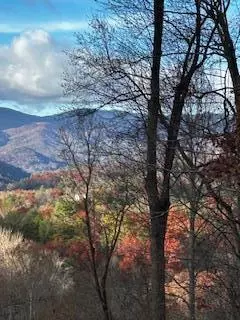 tbd Upper Peachtree Rd, Murphy, NC 28906 photo 2