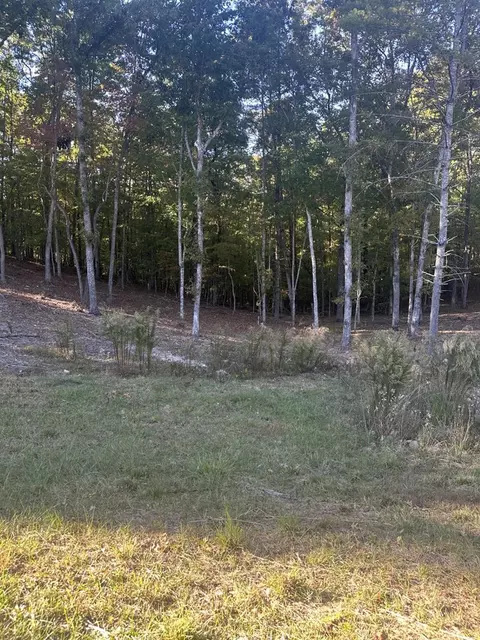 lot42 Ridge Dr, Morganton, GA 30560