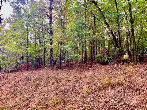 415 Chatawa Ct, Ellijay, GA 30540
