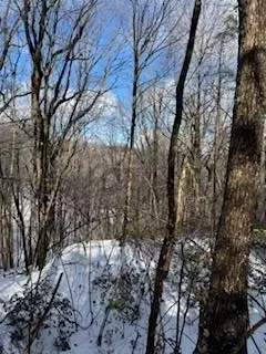 18 Bear Paw Rd # N, Jasper, GA 30143