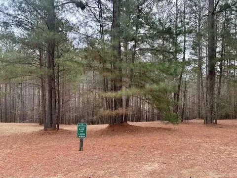 lot48 The Sanctuary, Blairsville, GA 30512