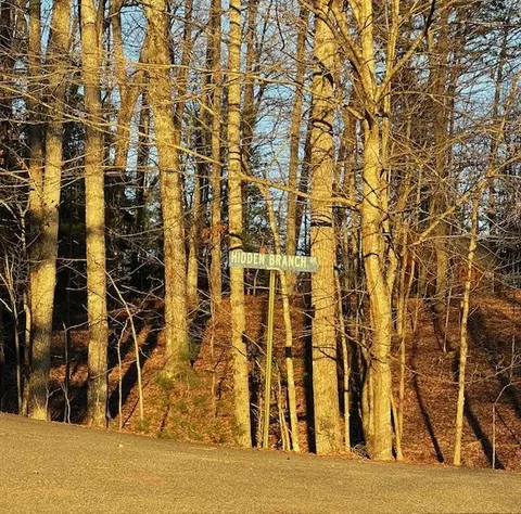 lot18 Hidden Branch Dr, Young Harris, GA 30582