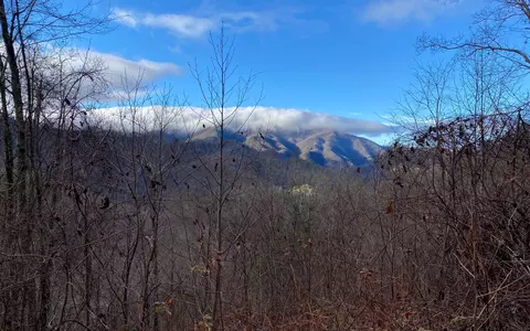 M1, Bryson City, NC 28713