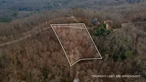 lot7 Ada Ridge Rd, Mineral Bluff, GA 30559