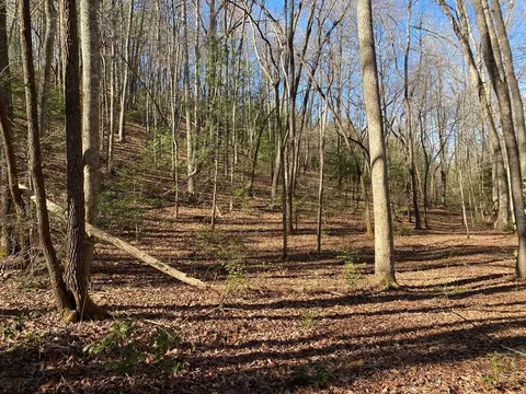 tbd Collett Woods Cv, Andrews, NC 28901