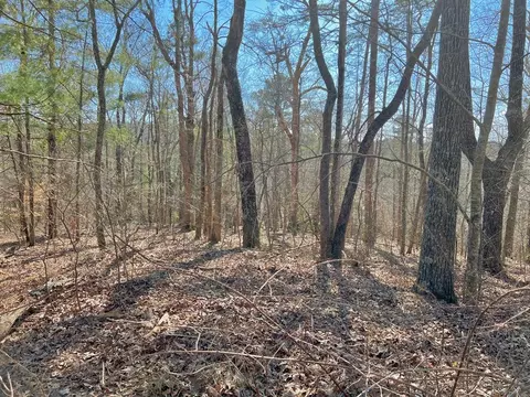 113 Beech Tree Dr, Ellijay, GA 30540