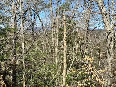 lot1198 Lancer Ct, Ellijay, GA 30540