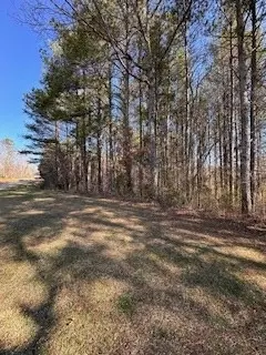 9-11 Sugar Maple Rd, Murphy, NC 28906 photo 5
