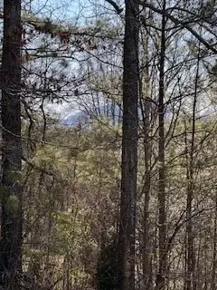 9-11 Sugar Maple Rd, Murphy, NC 28906 photo 3