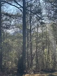 9-11 Sugar Maple Rd, Murphy, NC 28906 photo 4
