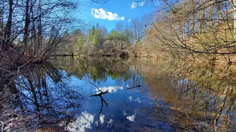 51 Acre Mountain Cove Way, Cherry Log, GA 30522