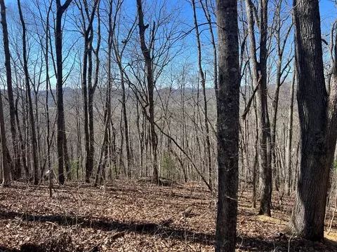 lot S 78 Wikle Rd, Hayesville, NC 28904