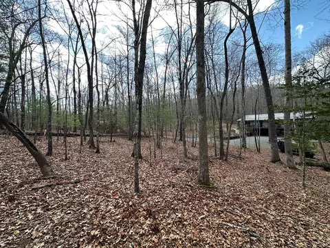 lot20 Black Oak Rd, Cherry Log, GA 30522