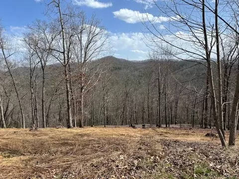 8 Thunder Rd, Hayesville, NC 28904
