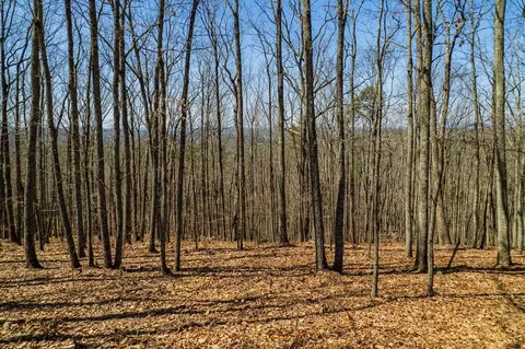 lot35 Heatherwood Way, Talking Rock, GA 30175