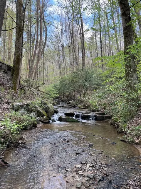0000 Shady Grove Rd, Talking Rock, GA 30175