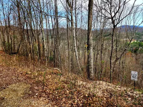 L46 Warbler Road, Murphy, NC 28906 photo 11