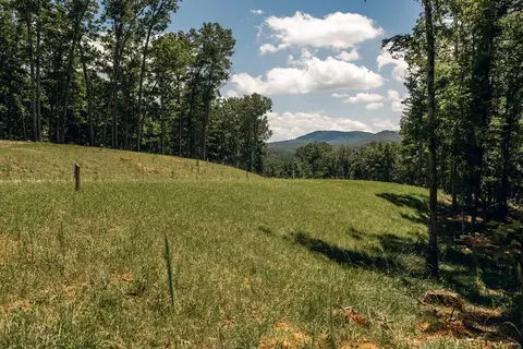 lot133 Ridges Of Blue Rdg, Morganton, GA 30560