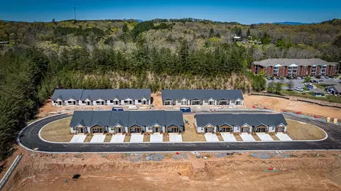 View/Area - Unit 31 Grove Loop, Blue Ridge, GA 30513 photo 1 of 3