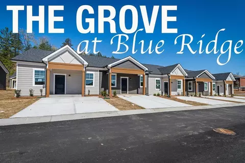 Unit 31 Grove Loop, Blue Ridge, GA 30513