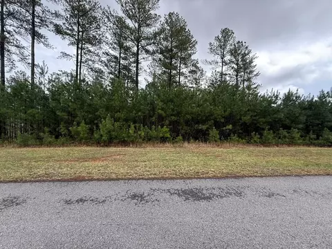 lot228 The Cove 1300, Blairsville, GA 30512