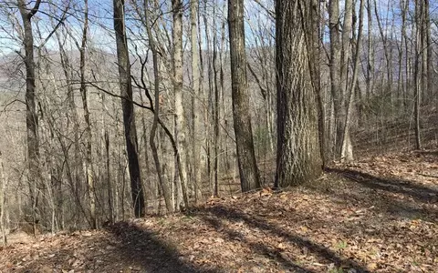 61 Shiloh Trail, Hayesville, NC 28904