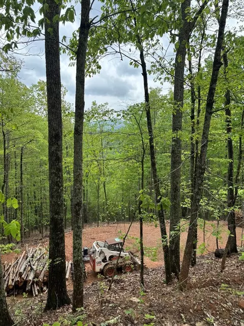 lot4 25 Sahkanaga Dr, Murphy, NC 28906