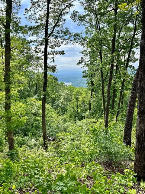 lot103 Highland Park, Blairsville, GA 30512