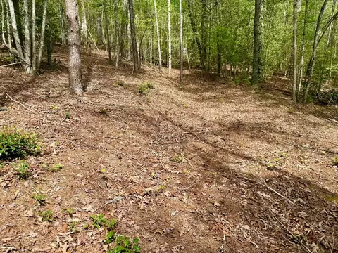 59 Rainy Farm Rd, Murphy, NC 28906 photo 10