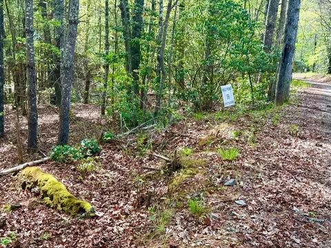 59 Rainy Farm Rd, Murphy, NC 28906 photo 9