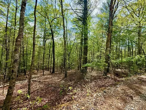 59 Rainy Farm Rd, Murphy, NC 28906 photo 8