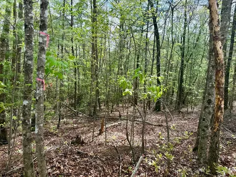 59 Rainy Farm Rd, Murphy, NC 28906 photo 7