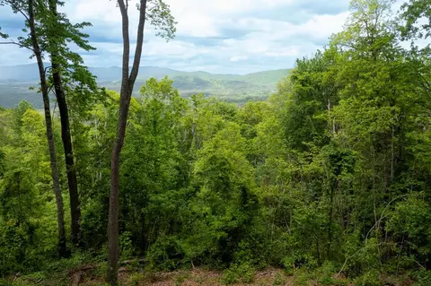 61 Wilderness Creek Way, Murphy, NC 28906