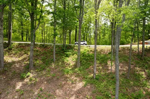 61 Wilderness Creek Way, Murphy, NC 28906 photo 11