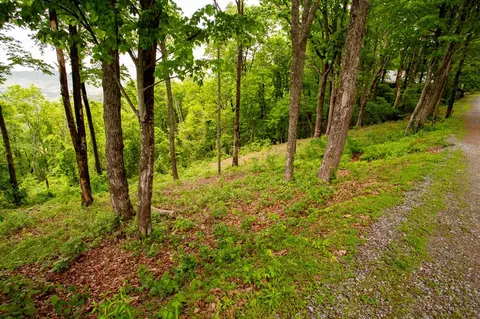 61 Wilderness Creek Way, Murphy, NC 28906 photo 19