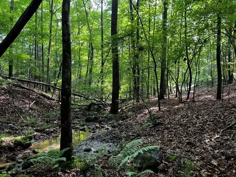 3 52 Ac Payne Way, Blairsville, GA 30512
