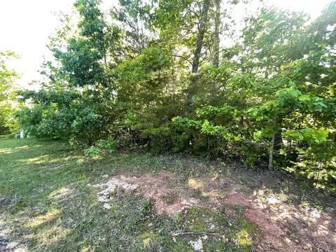 lot20 Big Cove Dr, Hiawassee, GA 30546