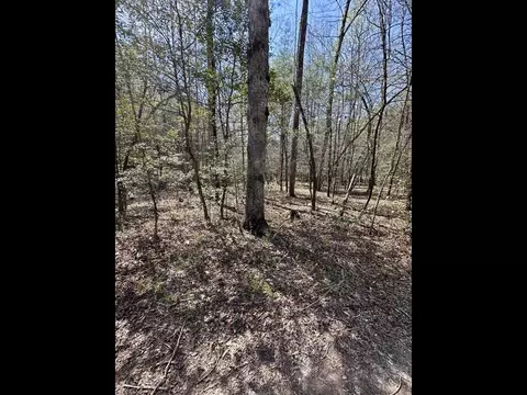 Tr C E New Hope Road E, Ellijay, GA 30536