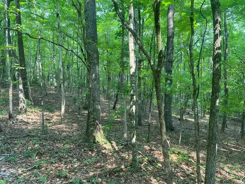 53 Squirrel Hunting Road, Ellijay, GA 30536