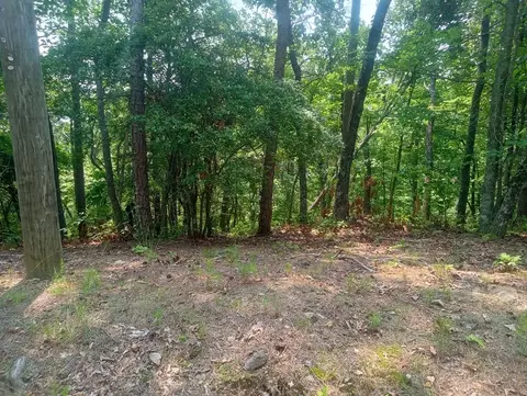 1227 Hilton Drive, Ranger, GA 30734