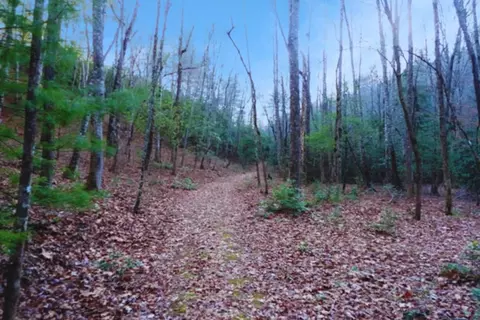 23 Shelton Springs Drive # d, Hayesville, NC 28904