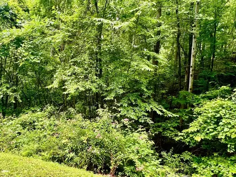 8 Black Bear Trl, Hiawassee, GA 30548