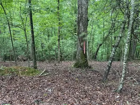 222 Mohawk Trail, Ellijay, GA 30540