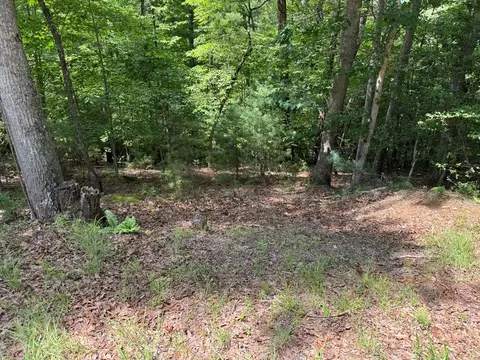 lot3 Honeysuckle Dr, Blairsville, GA 30512