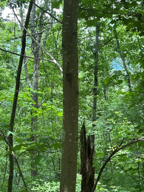 0 Ten Pointe Trl, Murphy, NC 28906