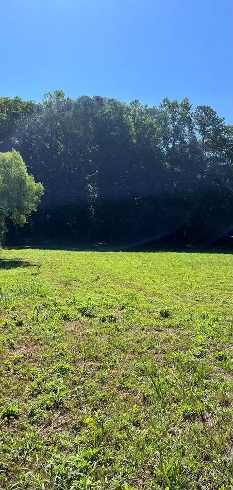 56 Acres Old Hwy 5s, Talking Rock, GA 30175