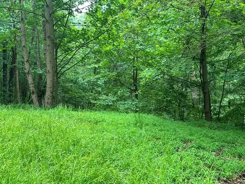 lot59 Timberwalk Dr, Ellijay, GA 30540