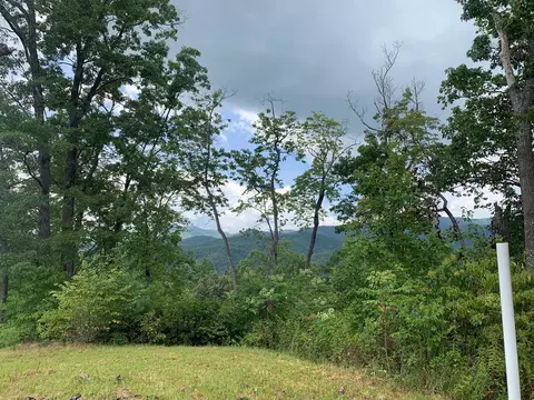 44 45 Silo Vw, Murphy, NC 28906 photo 27